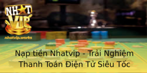 Nap Tien Nhatvip Trai Nghiem Thanh Toan Ien Tu Sieu Toc